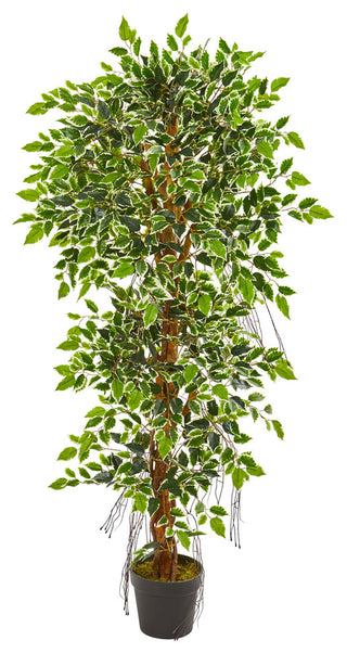 5' Elegant Ficus Artificial Tree