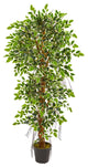 5' Elegant Ficus Artificial Tree