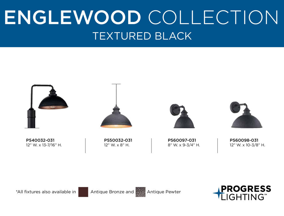 Englewood Collection 1-Light Hanging Lantern, Black