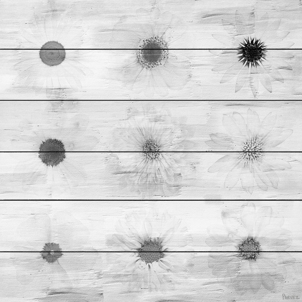 "Grey Flowers" Wall Art on Wood, 40"x40"