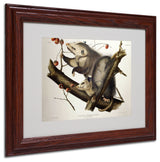 'Virginian Opossum' Matted Framed Canvas Art by John James Audubon