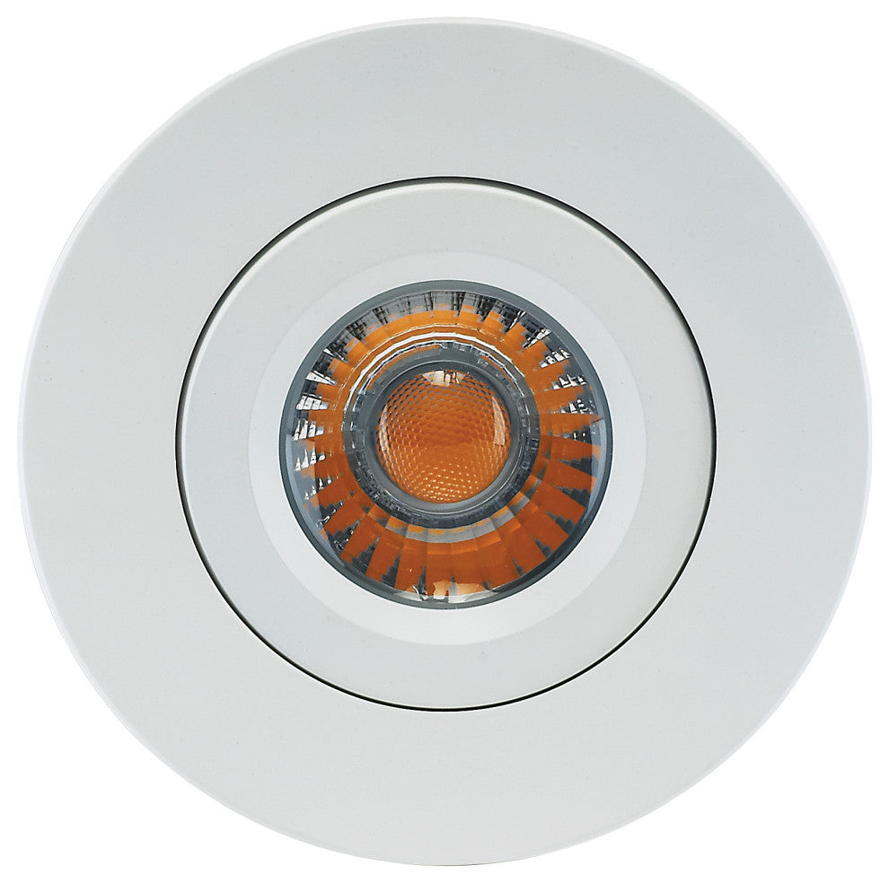 12 Watt LED Downlight - Gimbaled - 4 in. - 120 Volt - Round - Remote Driver