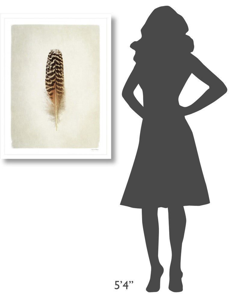 "Feather I" Digital Paper Print by Debra Van Swearingen, 26"x34"