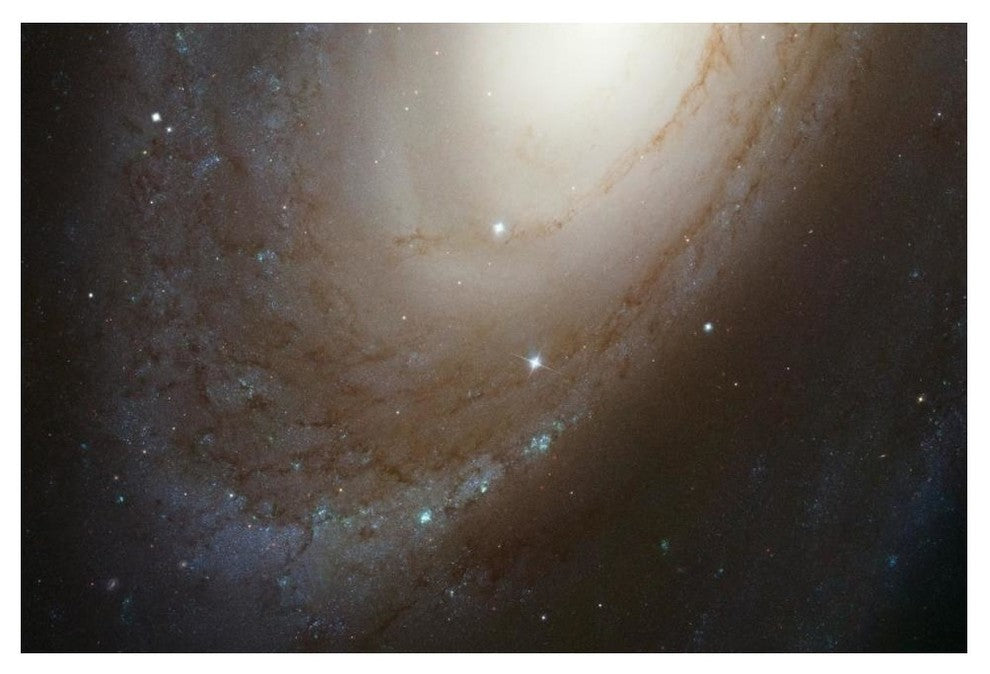 "HST ACS Image of M81" Digital Paper Print by NASA, 50"x34"