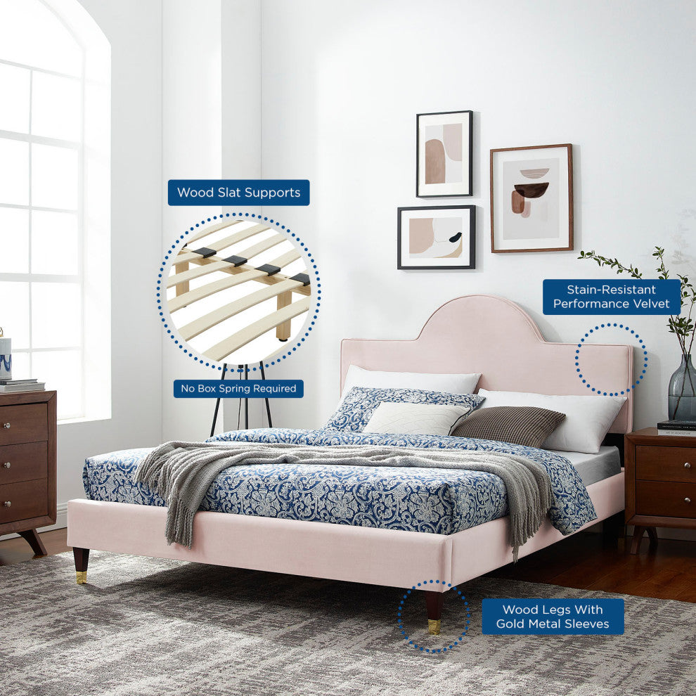 Platform Bed Frame, Queen Size, Pink, Velvet, Modern, Bedroom Guest Suite