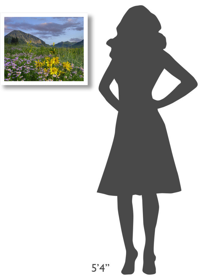 "Meadow of Orange Sneezeweed, Smooth Aster, Gothic Mountain" Paper Art, 22"x18"