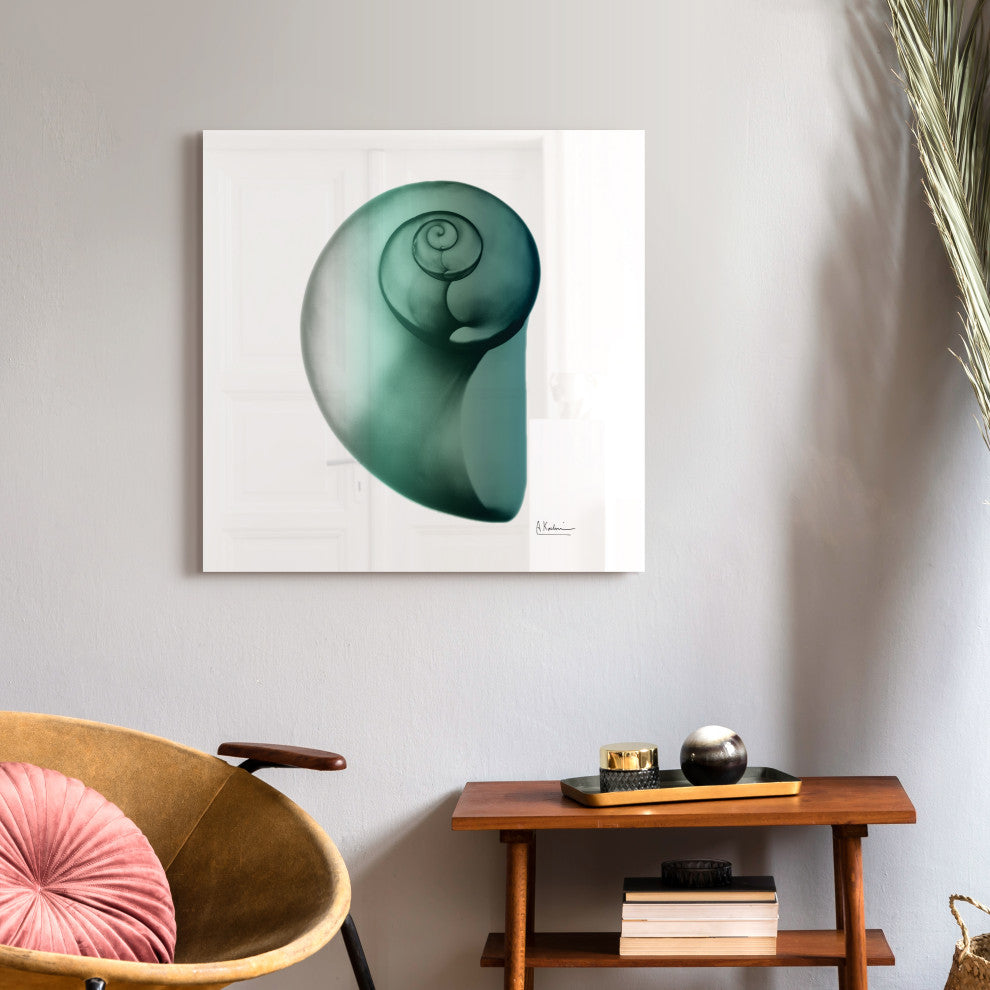 "Shimmering Snail Ii" Wall Art on Frameless Free Floating Tempered Glass Panel