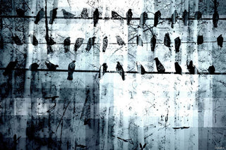 "On the Line" Fine Art Canvas Print, 36"x24"