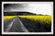 "Wild Yellow Fields" Framed Painting Print, 30x20