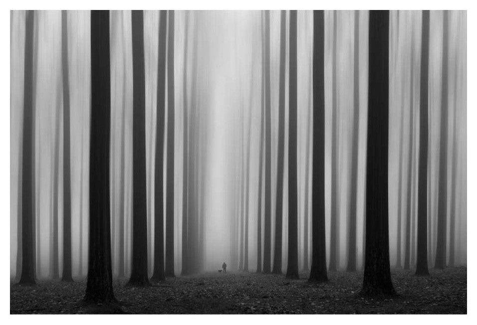 "Labyrinth" Digital Paper Print by Jochen Bongaerts, 24"x17"