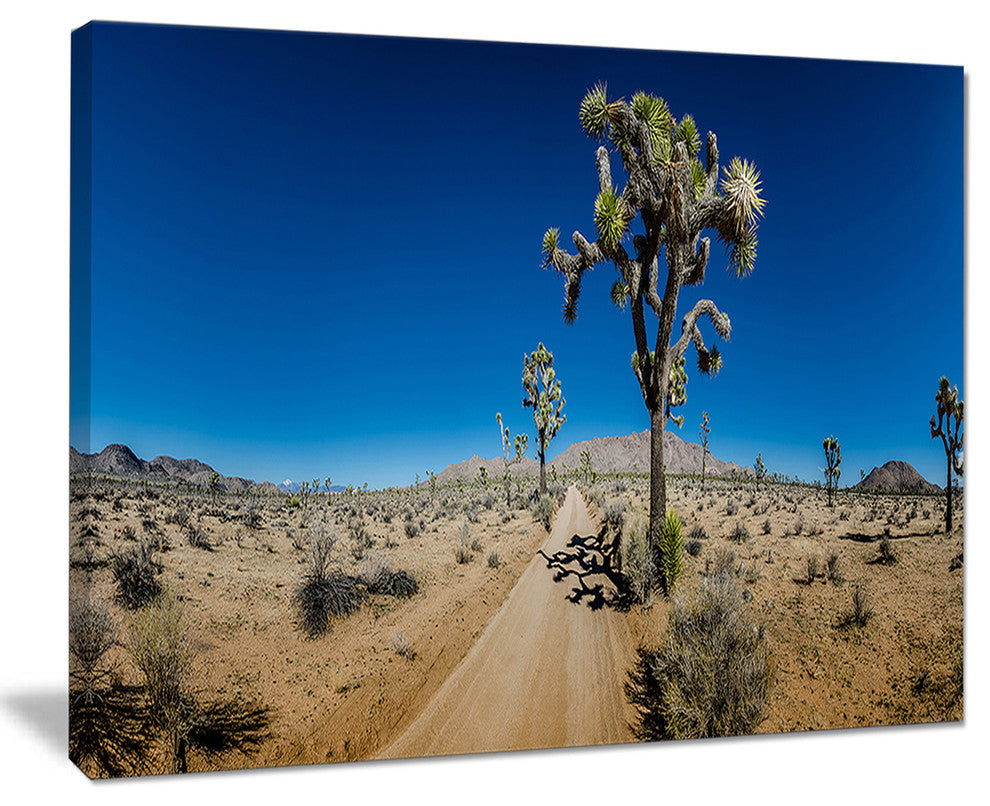 "Sandy Desert Road Panorama" Landscape Wall Art Print, 40"x30"