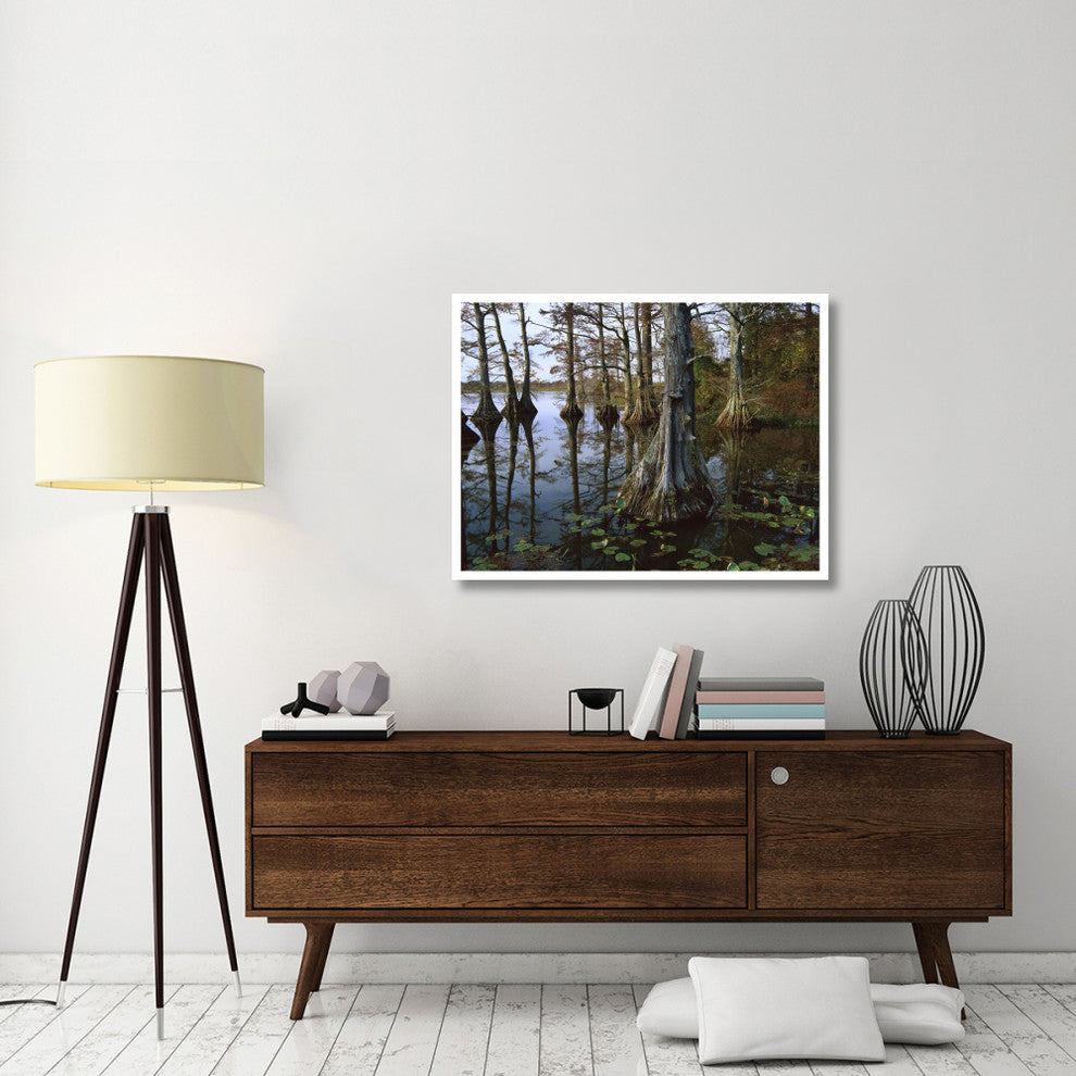 "Bald Cypress, upper Blue Basin, Reelfoot Wildlife Refuge" Paper Art, 42"x32"