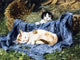 Julius Adam Two Kittens, 21"x28" Wall Decal