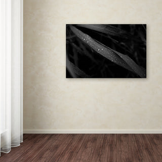 Kouzou Nakano 'Dew Drop' Canvas Art, 32 x 22