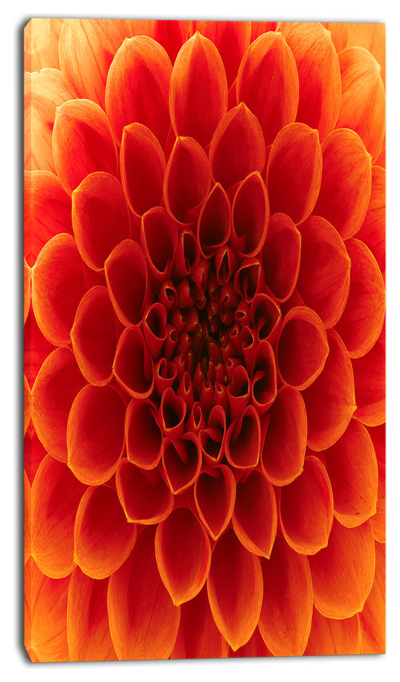 Close Up Orange Flower Petals, Floral Canvas Art Print, 16"x32"