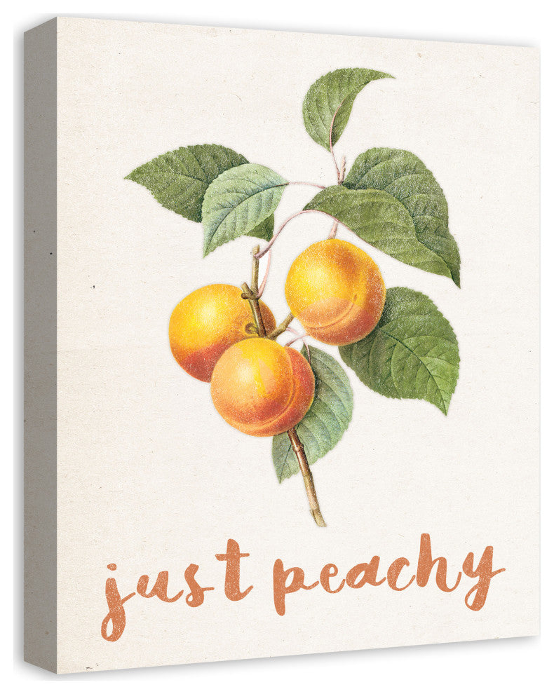 Just Peachy Vintage Peaches Canvas 16x20 Canvas Wall Art