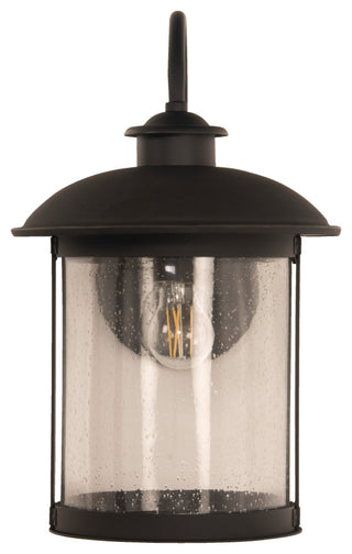 O'Fallon Large 1 Light Outdoor Lantern, Dark Bronze Gilded