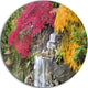 Japanese Maple Trees, Floral Photography Round Wall Art, 23"