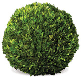 Boxwood Ball, 16"
