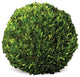 Boxwood Ball, 16"