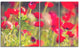 Red Poppies on Green Background, Large Flower Canvas Print, 48"x28", 4 Panels