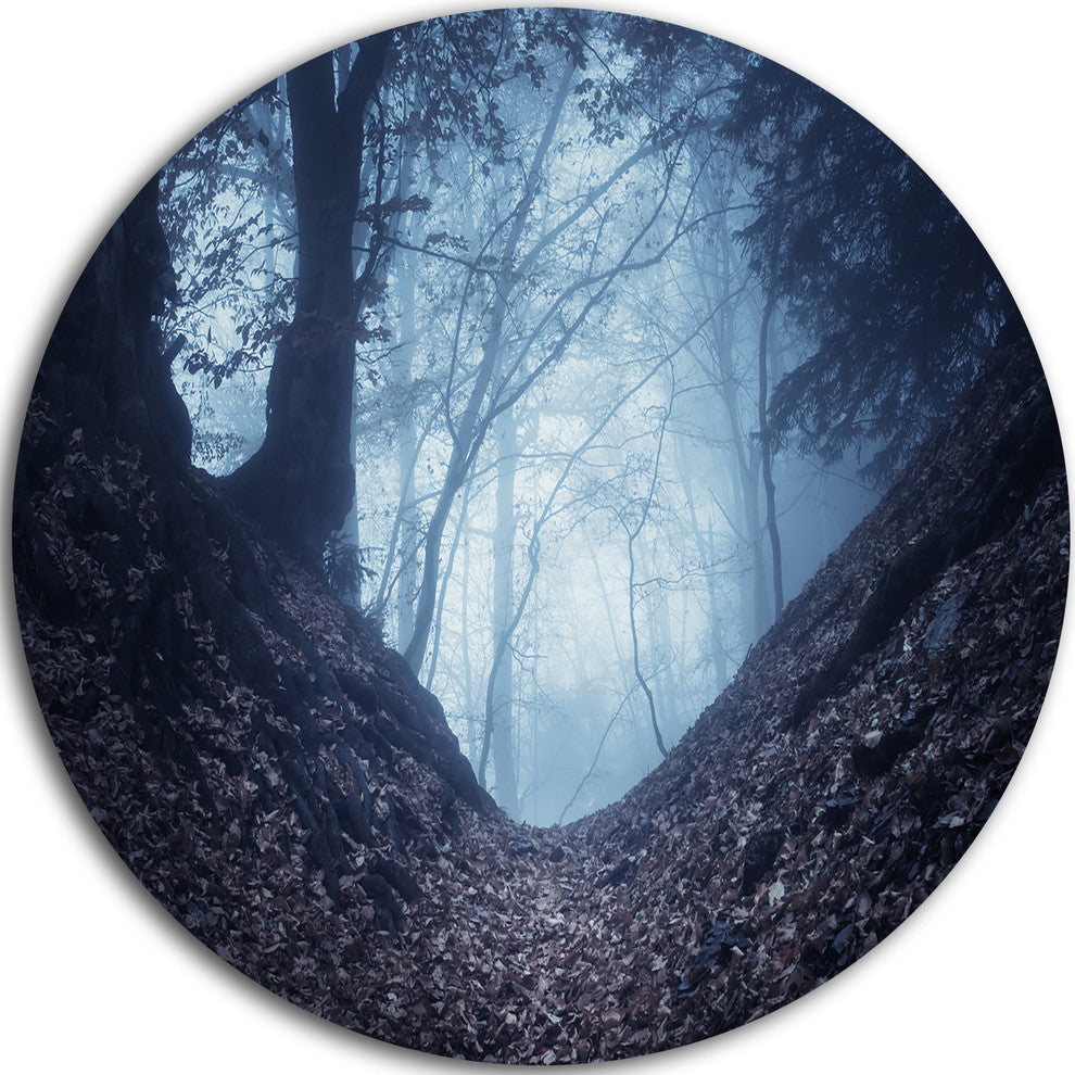 Sunlight Hitting Foggy Forest, Landscape Photo Disc Metal Wall Art, 23"