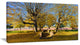 "Stone Stairs in Park in Fall" Landscape Wall Art, 32"x16"