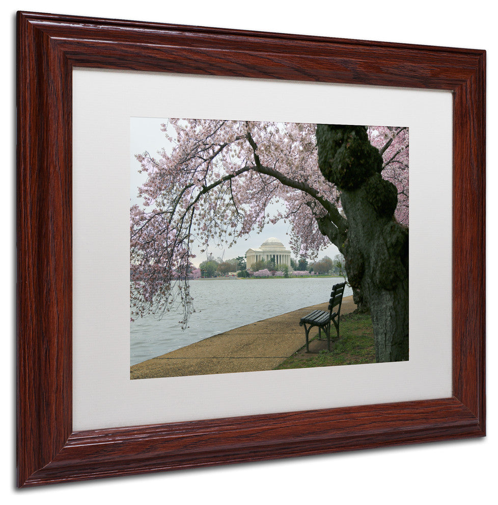 CATeyes 'Arched Blossoms' Matted Framed Art, 11x14