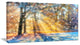 Blur Winter with Snow Flakes, Landscape Canvas Art Print, 40x20