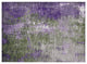 Machine Washable Indoor/Outdoor Chantille ACN1870 Olive 1'8" x 2'6" Rug