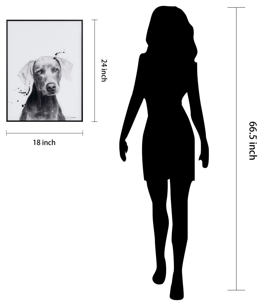 "Weimaraner" Black and White Pet Art on Printed Glass with Anodized Frame