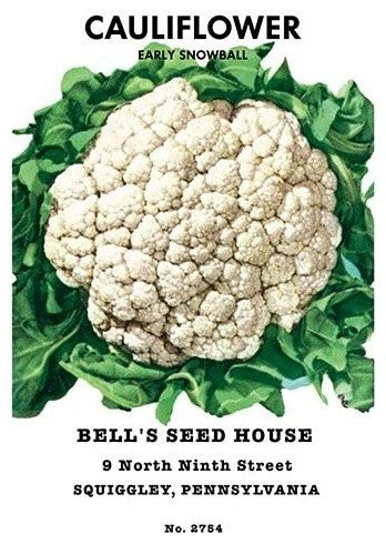 Cauliflower: Early Snowball- Canvas Poster 20" x 30"