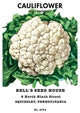 Cauliflower: Early Snowball- Canvas Poster 20" x 30"