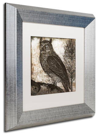 Color Bakery 'Owl 2' Art, Silver Frame, White Matte, 11"x11"