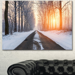 Bright Sun Break in Winter Forest, Large Forest Canvas Art Print, 40"x30"