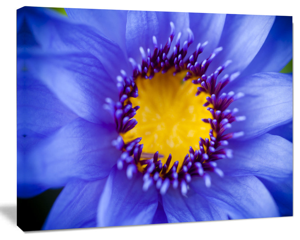 Blue Lotus Close up Watercolor, Flowers Canvas Wall Artwork, 60"x28"