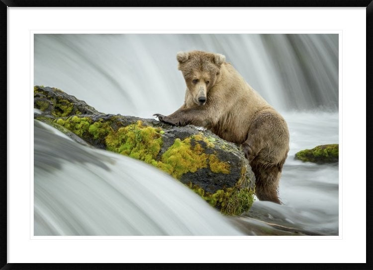 "Left Wanting" Framed Digital Print by Renee Doyle, 44x32"