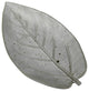 Gray Begonia Leaf Ceramic Serving Tray