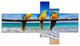 Blue Gold Macaws at Beach, Seashore Photo Canvas Print, 60"x32", 5 panels