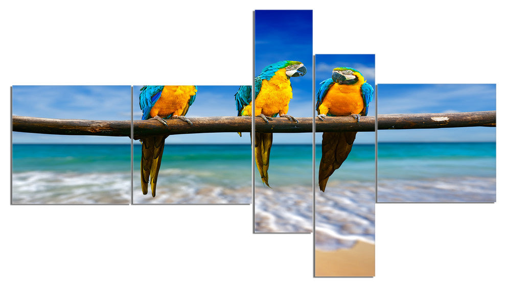 Blue Gold Macaws at Beach, Seashore Photo Canvas Print, 60"x32", 5 panels