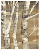 "Wandering Through the Birches II" Paper Print by Albena Hristova, 22"x26"