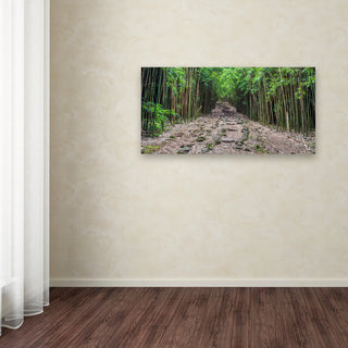 Pierre Leclerc 'Maui Bamboo Forest' Canvas Art, 47x24