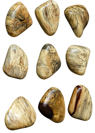 Uttermost 04324 Pebbles Blonde Wood Wall Decor Set of 9