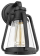 Everett 1-Light Small Wall Sconce, Matte Black With Clear Glass