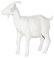 Goat, Off White