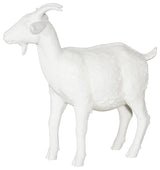 Goat, Off White