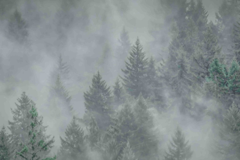 "Misty Mood" Painting Print on Canvas