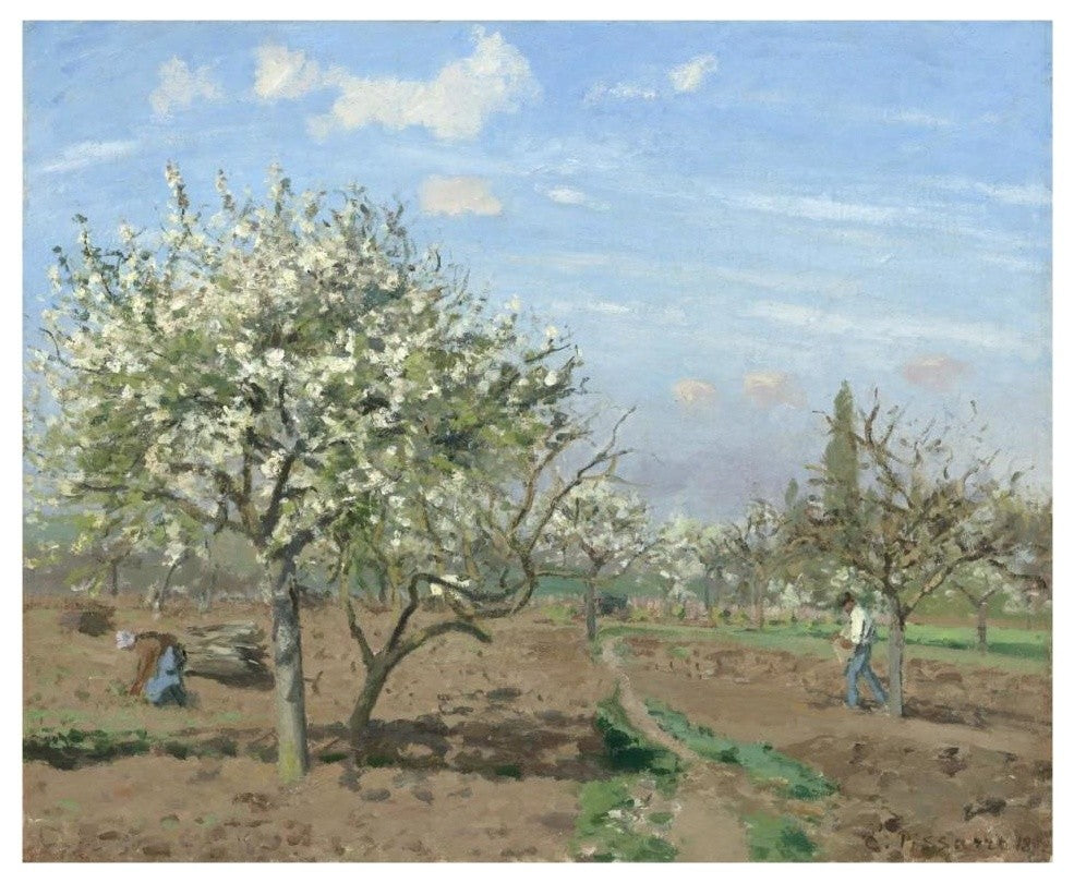 "Orchard in Bloom, Louveciennes, 1872" Paper Print by Camille Pissarro, 37"x30"