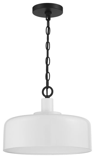 1-Light Pendant, Weathered Gray With Black, White With Black