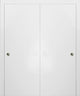 Sliding Closet Bypass Doors 48 x 80 & Hardware | Planum 0010 White Silk